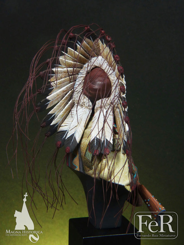 Sioux Chief Little Big Horn, 1876