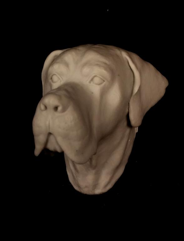 DOG SET 1