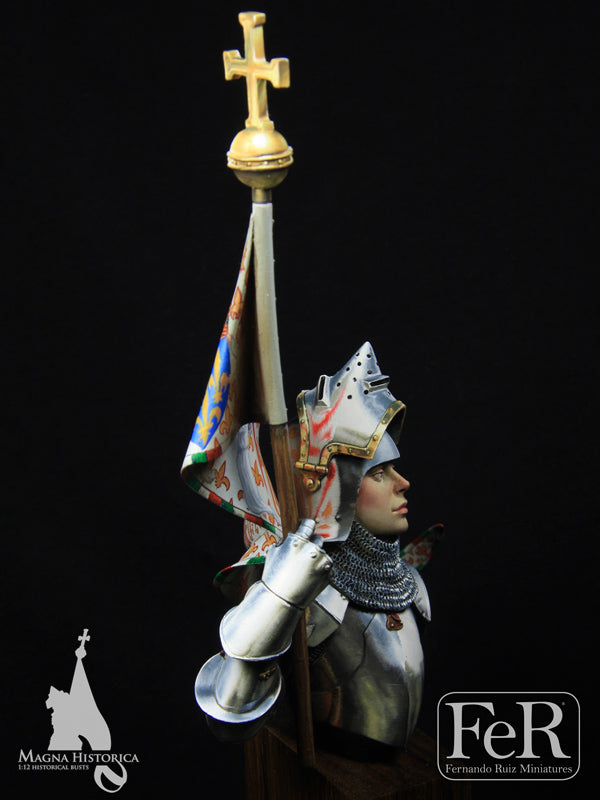 Jeanne d’Arc, Orleans, 1429 DEFINITIVE EDITION