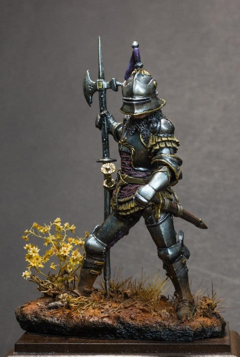 Heroic Armour of the 15th-Century