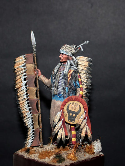 Sioux, XIX cent