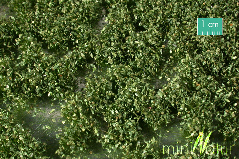 Weed Tufts - Summer - Short