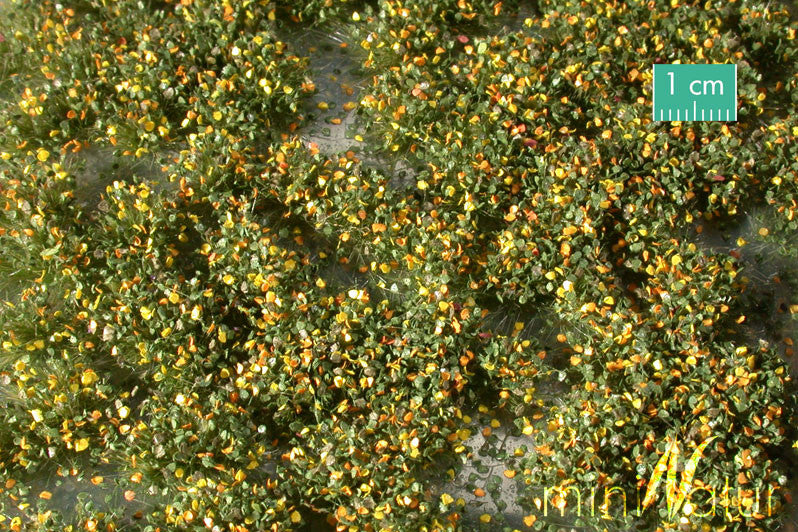 Weed Tufts - Early Fall - Short