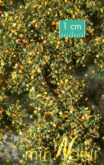 Weed Tufts - Early Fall - Short