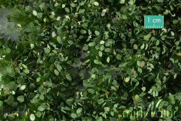 Weed Tufts - Summer - Long