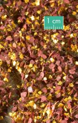 Weed Tufts - Late Fall - Long