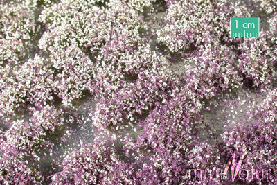 Blossom Tufts - Early Fall