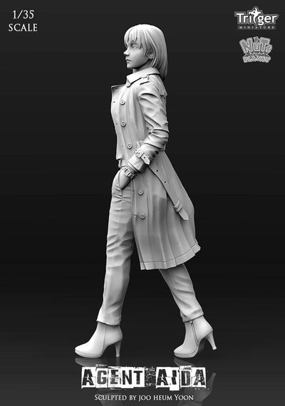 Agent Aida (1/35)