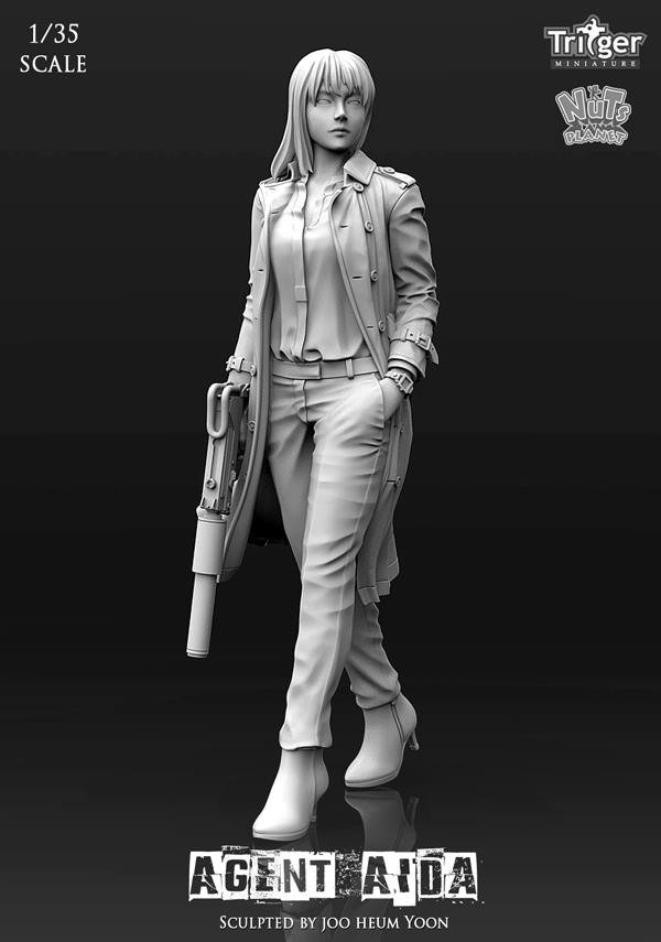 Agent Aida (1/35)