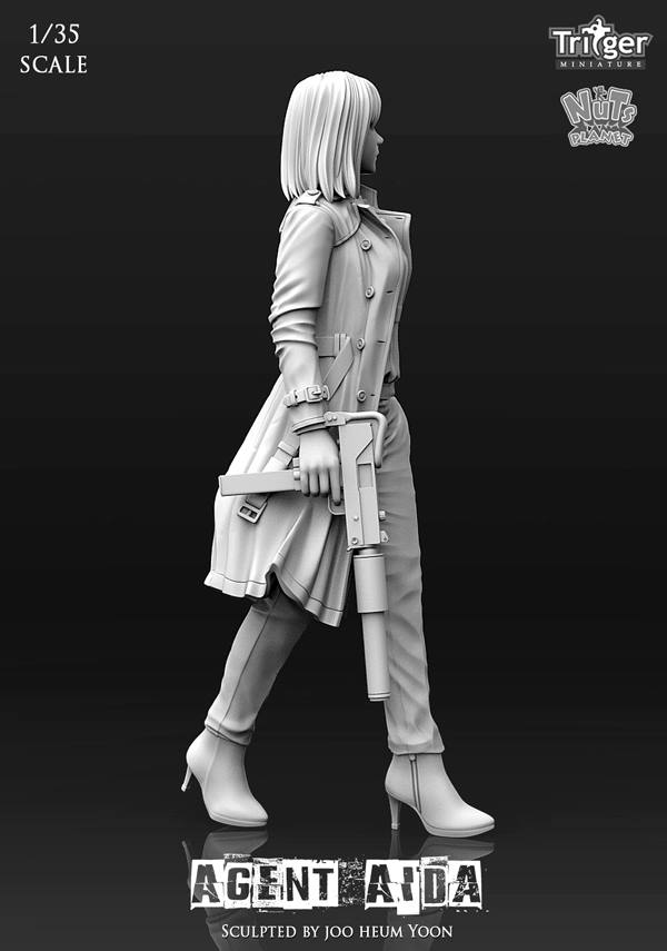 Agent Aida (1/35)