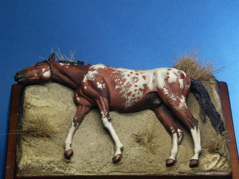 Dead Horse