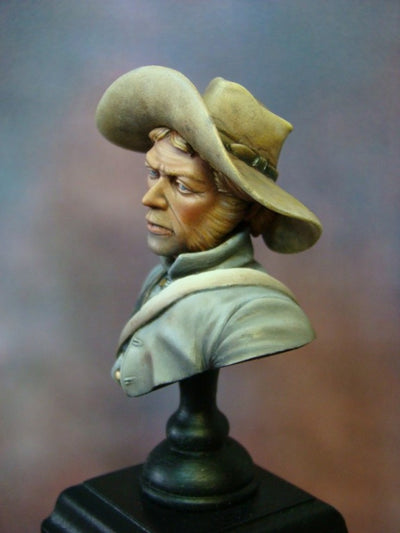 ACW Confederate