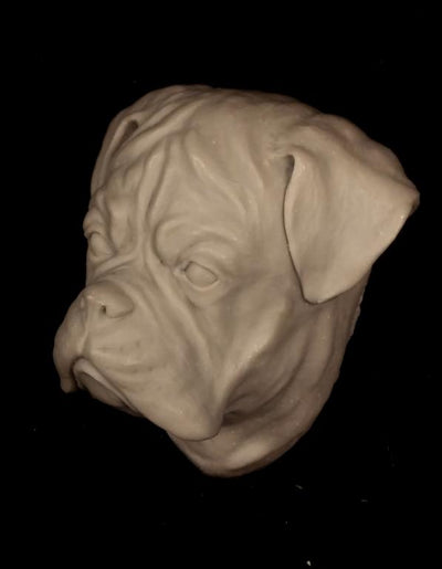 DOG SET 1