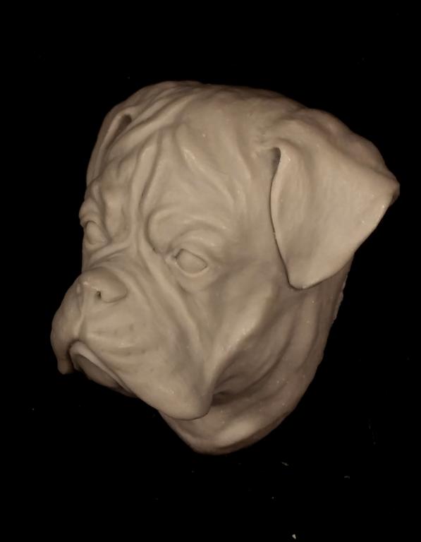 DOG SET 1