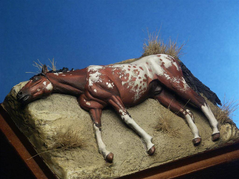 Dead Horse