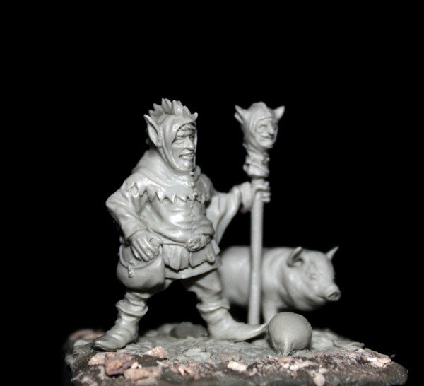 Medieval Dwarf Jester