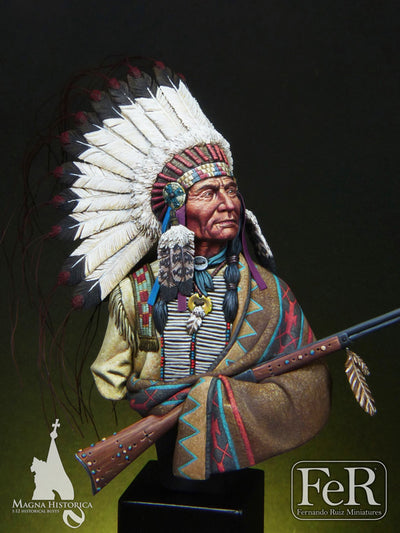 Sioux Chief Little Big Horn, 1876