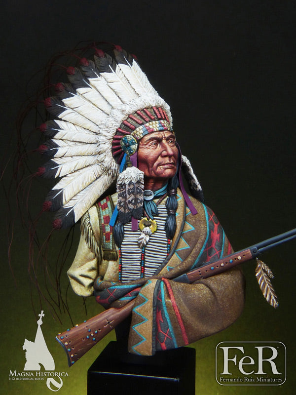 Sioux Chief Little Big Horn, 1876