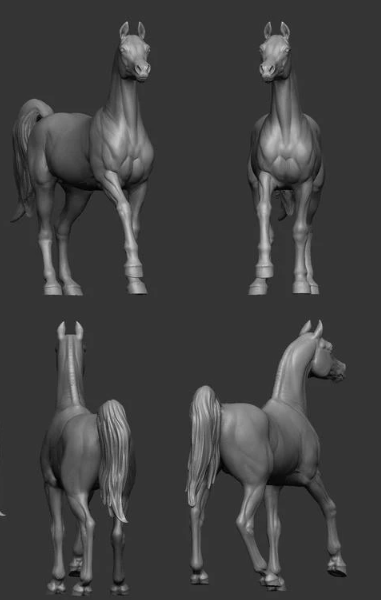 Arabian Horse