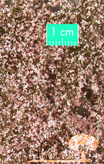 Cherry Blossoms - Pink