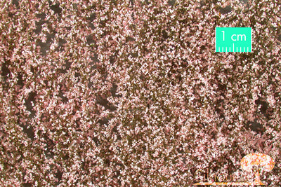 Cherry Blossoms - Pink