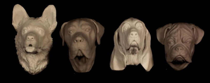 DOG SET 1
