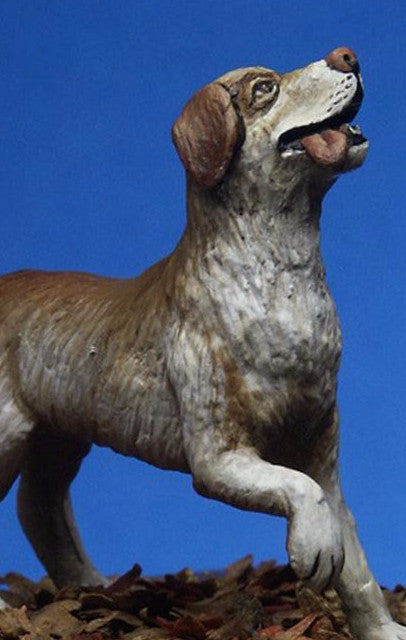 Labrador