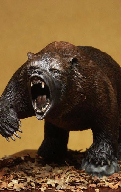 Bear