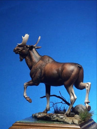 Moose