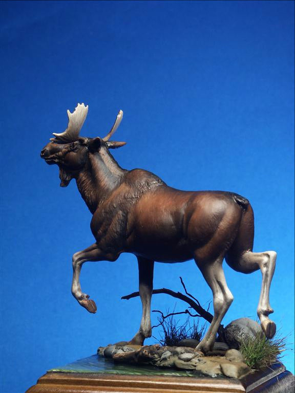 Moose