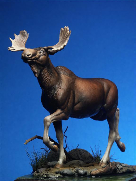 Moose