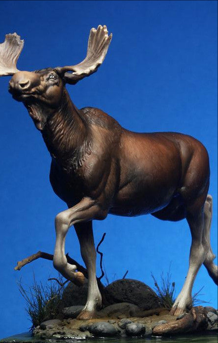 Moose