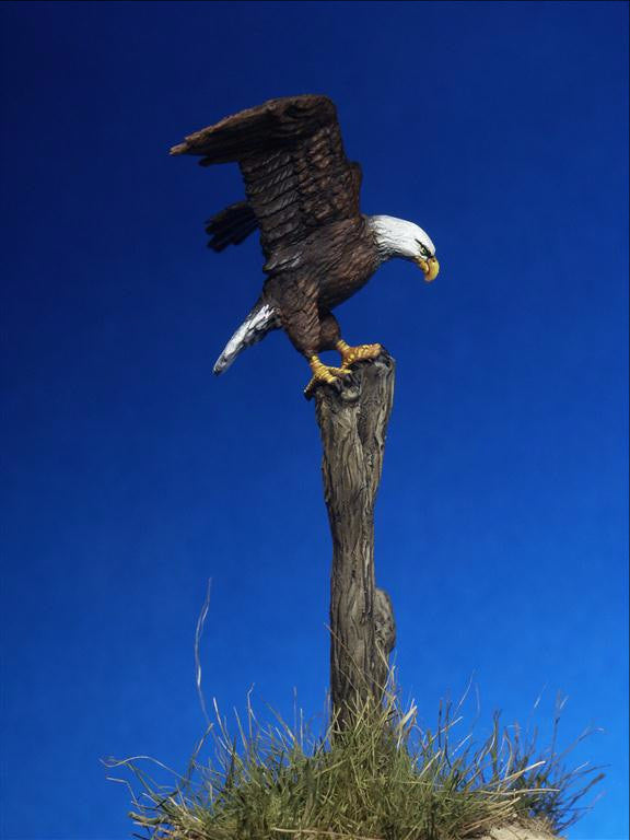 American Eagle