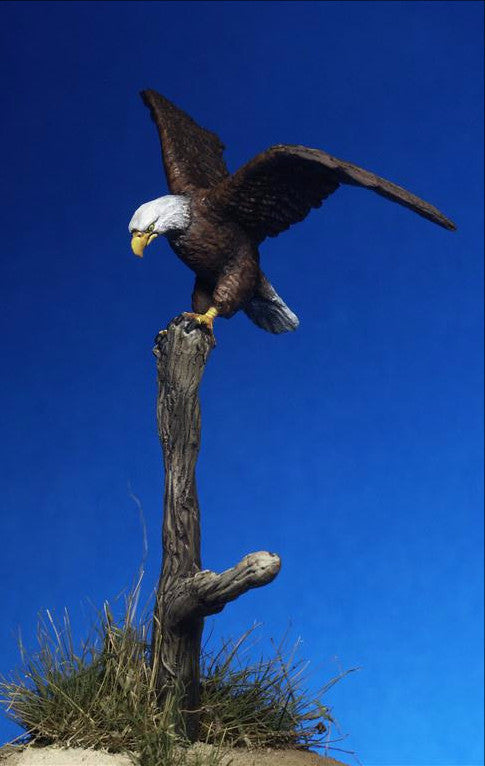 American Eagle