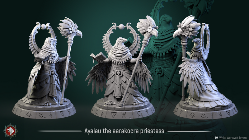 Ayalau the Aarakocra Priestess - 75mm - 3D Print