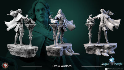 Drow Warlord - 75mm - 3D Print