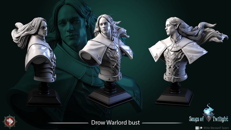 Drow Warlord Bust - 3D Print