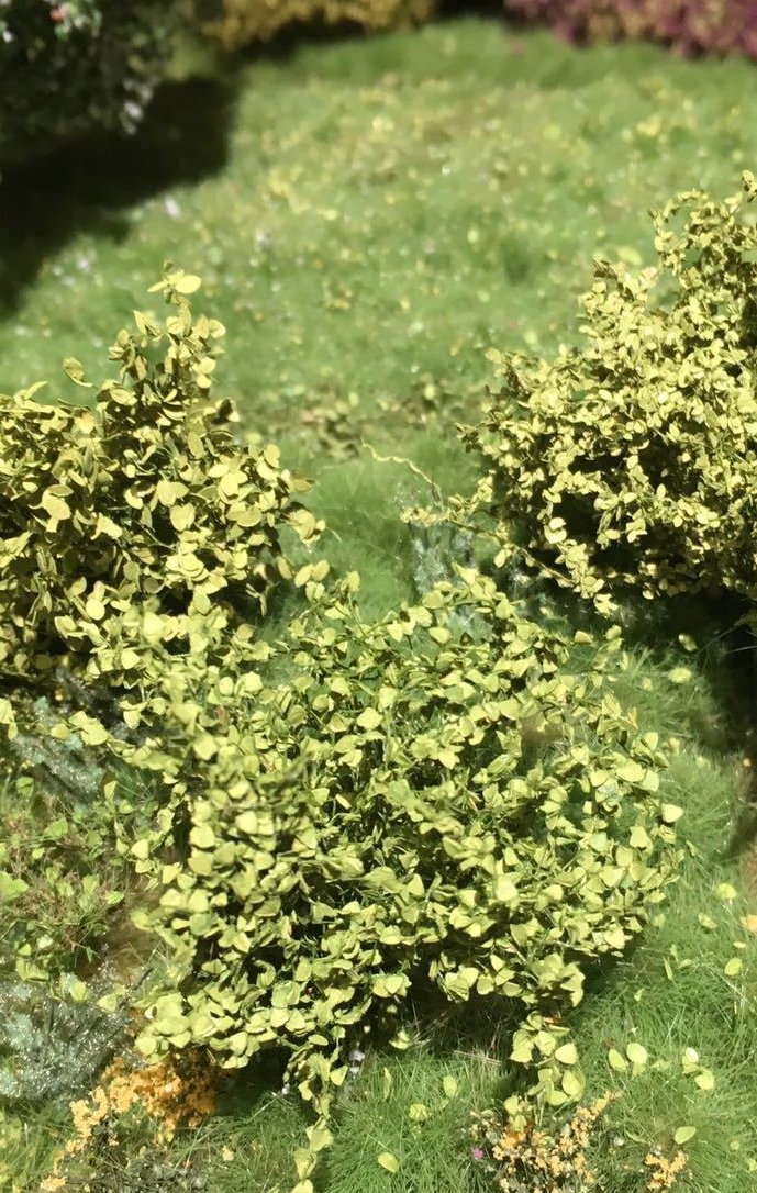 Selection of Shrubs, Spring - 5cm