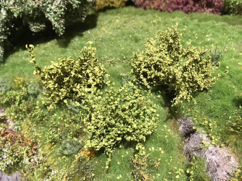 Selection of Shrubs, Spring - 5cm