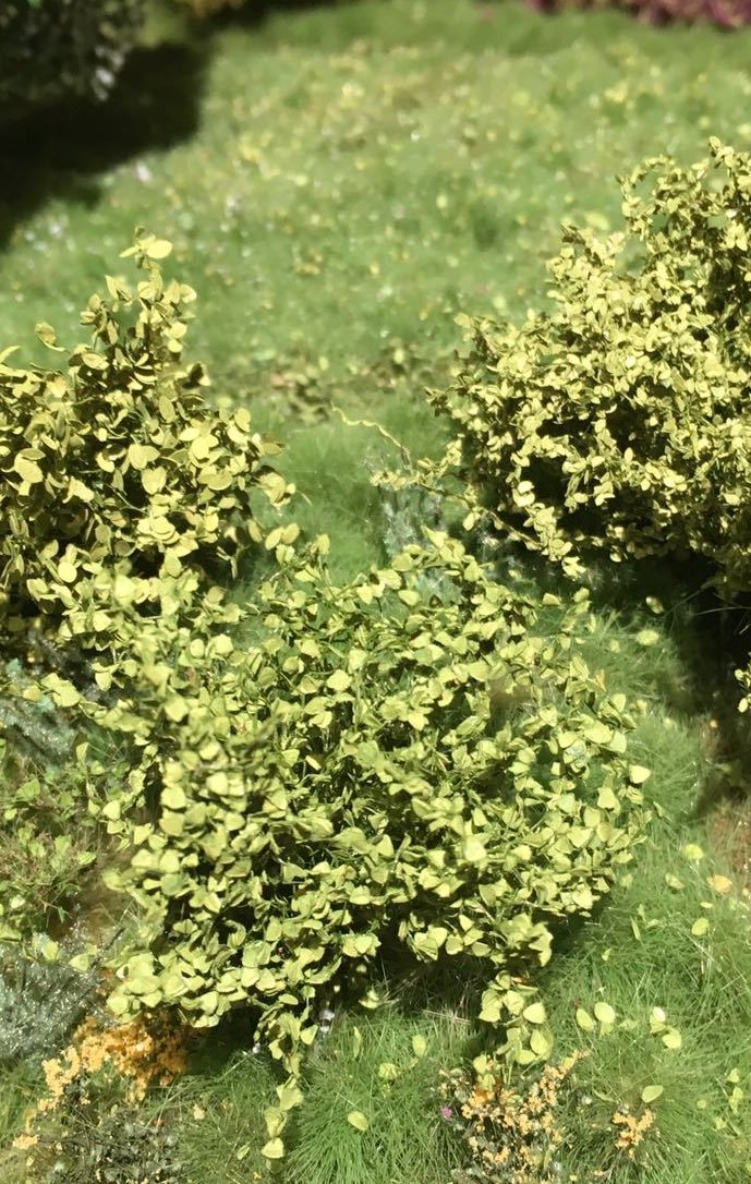 Selection of Shrubs, Spring - 3cm