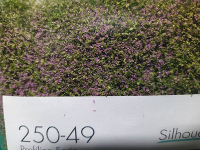Shrubbery - Violet