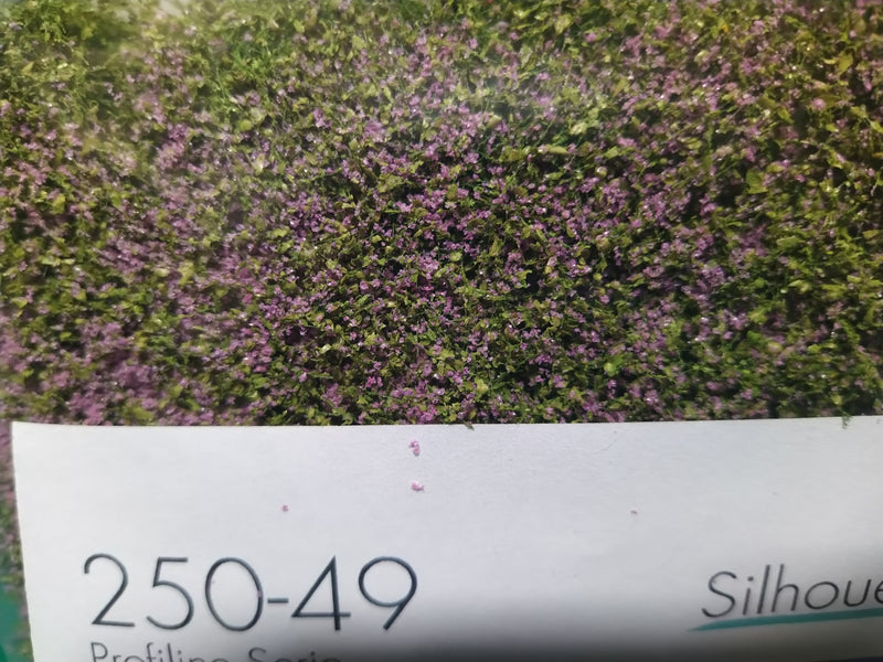 Shrubbery - Violet