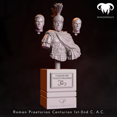 In Charge, Roman Praetorian Centurion 1st-2nd C. AD - 3D Print