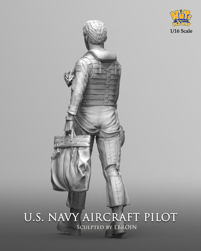 US Navy Aircraft Pilot (1/16)