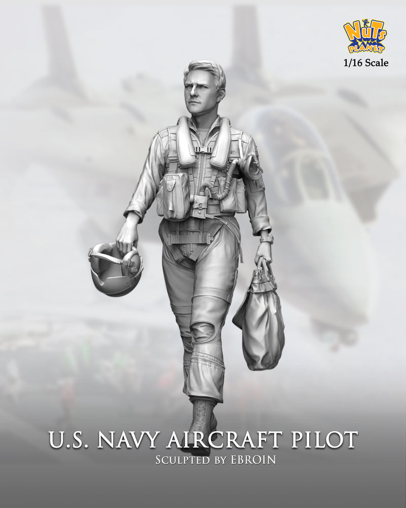 US Navy Aircraft Pilot (1/16)