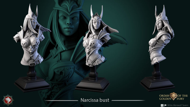 Narcissa Bust - 3D Print