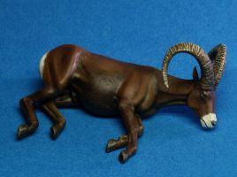 Bighorn