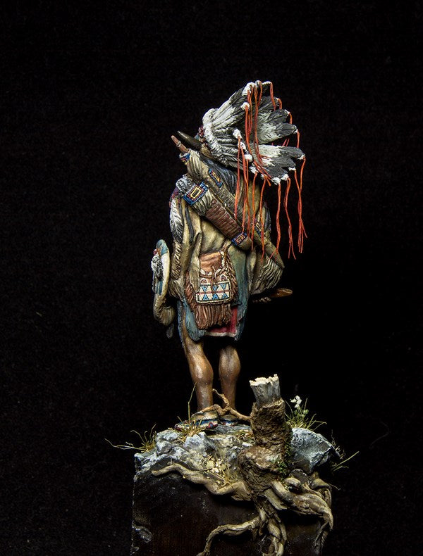 Sioux Warrior, 19th Century