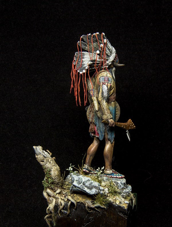 Sioux Warrior, 19th Century