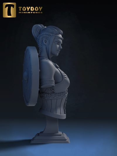 Thyra, The North Woman Bust - 3D Print